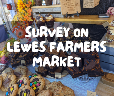 Farmers market Survey graphic