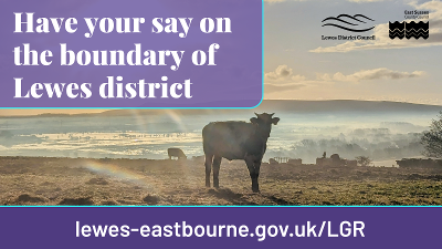 Have your say LGR LDC B&H