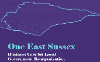 One East Sussex Business case front cover outline of area of East Sussex 