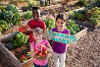 Community and Social Cohesion Grants