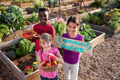 Community Grants programme